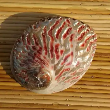 12-13 cm poliruoto natūralaus myli kevalus didelės ryškiai raudonos ausinukės, kurių sudėtyje yra dėžutė namų langų apdailos abalone medžiaga