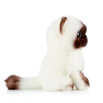 2021 Naujas Modeliavimo Katytė Lėlės, Pliušiniai Žaislai Mielas Kompanionas Lėlių Katė Super Cute Kačių Lėlės, Mergaičių ir Vaikų Gimtadienio Dovanos