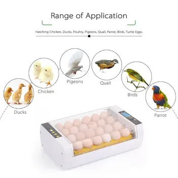 24 Vištų Kiaušiniai Inkubatoriaus Temperatūros Kontrolė Skaitmeninė Automatinis Vištienos Viščiukų, Ančių Hatcher Ūkio