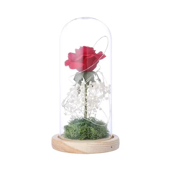 Dirbtinių Rožių Netikrą Gėlių LED Šviesos Namų Dekoro Stiklo Kupolas, už Gimtadienio, Padėkos Diena, Valentino Diena ir Motinos Diena