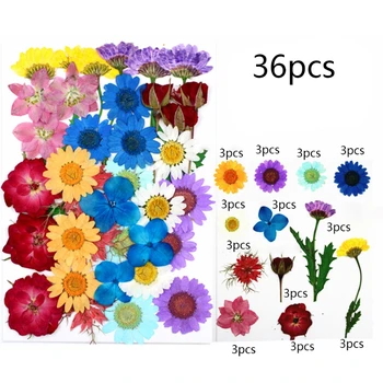 Džiovintos Gėlės UV Dervos Dekoratyvinių Natūralių Gėlių Lipdukai 3D Sausas Grožio Decal XXFD