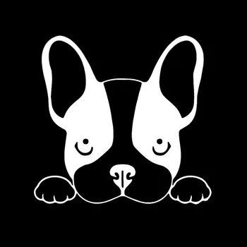 Kūrybiškumo Automobilių Lipdukai prancūzų Buldogų Šunų Šuniukas Gyvūnų Teigiamas Augintiniai Vandeniui Decal Priedai PVC 13cm X 13cm
