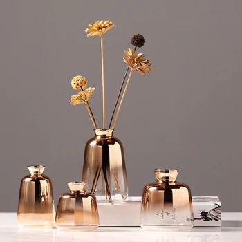 Stiklo Vaza Apdailos Modernus Minimalistinio Skaidrus Gradient Golden Kambarį Hydroponic Maža Vaza Naujas