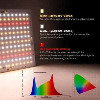 2020 Naujas LED Augti Šviesos Pilno Spektro led valdybos DC36V 