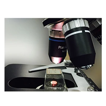 8 colių Jutiklinis ekranas, LCD ekranas LCD Skaitmeninis Biologinis Mikroskopas Measurementand Analizės Priemonės