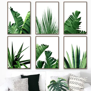 Atogrąžų Žalios Palmių Aloe Bananų Lapų Sienos Meno Tapybos Drobės Šiaurės Plakatai Ir Spausdina Sienos Nuotraukas Gyvenimo Kambario Dekoro