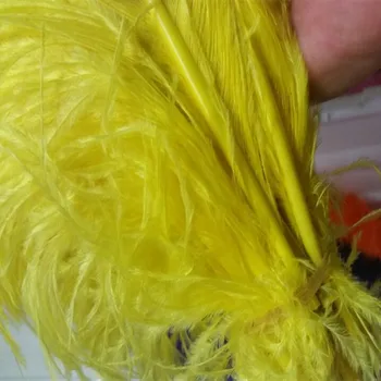 Didelis polių stručio plunksna geltonos plunksnos, 10 vnt 60-65cm / 24-26 cm natūralių plunksnų, vestuvių papuošimai