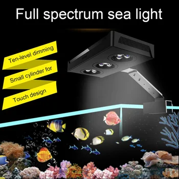 Mažas cilindras LED jūros koralų lempos Mažas Cilindras LED Jūros Vandeniu, Koralų Šviesos JAV plug