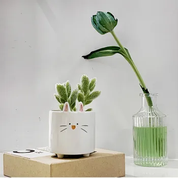 Mielas Kaktusas Succulents Gėlių Puodą Mažai Triušis Keramikos Vazonas Gyvūnų Darbastalio Vazonas Mini Sodo Sodinamoji Namų Dekoro