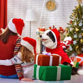 Naujai Šunų Kostiumai, Gyvūnėlių Kostiumai, Gyvūnėlių Helovinas Kalėdų Kostiumas Stiliaus Santa Claus Ir Kalėdų Naminių Šunų Komplektai