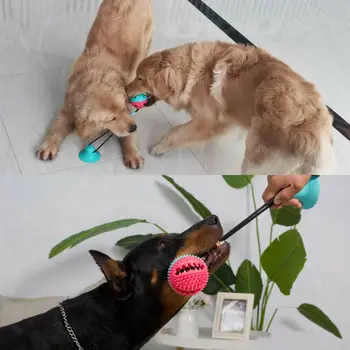 Pet Bite Kramtyti Žaislus Grindų Siurbimo Taurės Šunį Kramtyti Vilkikas Žaislas Dantų Valyti Kamuolys