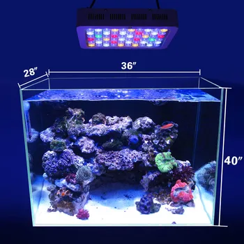 Profesionalaus apšvietimo 180w žuvų Akvariumas apšvietimas Nemokamas pristatymas jūrų akvariumas ir viso spektro šviesa reef aquarium