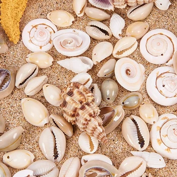 Sumaišyti Paplūdimio Kriauklių, Spiralės, Kriauklių, Perlų už Akvariumas Užpildų