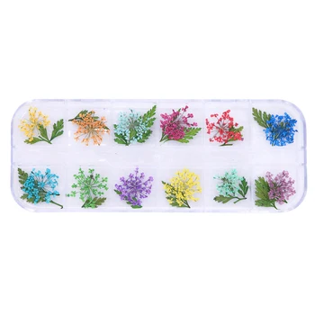 12 Spalvų Nekilnojamojo Sausų Džiovintų Gėlių, Lapų 3D UV Gelio Akrilo 