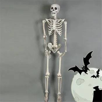 40CM Skeleto Modelis Didmeninė Mokytis Pagalbos Anatomija meno eskizas Helovinas Lankstus Žmogaus Anatomijos kaulų Anatomija