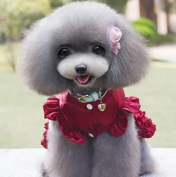 A33 Mados šunelis sijonas Mielas princesė šuo suknelė su Nėrinių Prabanga šunelis Lolita Satino Suknelė su Rozete