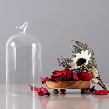Europos Sausų Gėlių Konteinerių Paukščių Stiklo Danga Ornamentu Namų Dekoro Priedai Miegamojo Puošmena Amatų Vestuvių Priedai