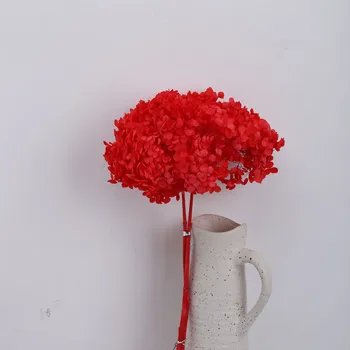 Gamtos Eternelle Anna Hydrangea Su Kamieninėmis Amžinąjį Ekranas Puokštės, Vestuvių Namų Kambario Dekoro Priedai Konservuoti Gėlių