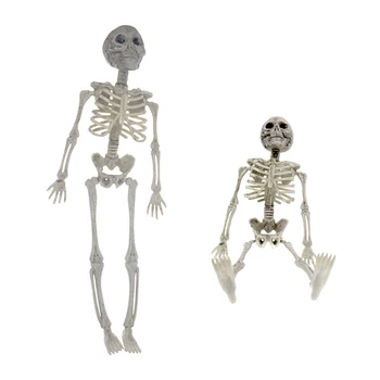 Kabo žmogaus skeletas, visas kūnas šalių rekvizitai Helovinas apdaila, 40 cm, patvarus