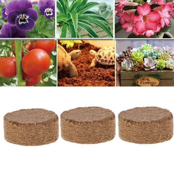 Kokoso Pluošto Kokoso Granulių Maistingųjų Medžiagų Dirvos Lengvas Augalų Suspaustas Bazės Sodas