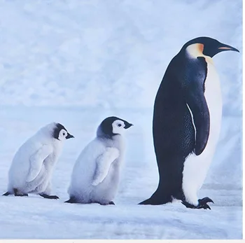 Mielas Pingvinai Antklode Padengti Nustatyti 4pcs vieno dydžio Pingvinas Patalynė Vaikams, Vaikų 6 gabalus suaugusiųjų Visą Karalienė King Size lova lakštai