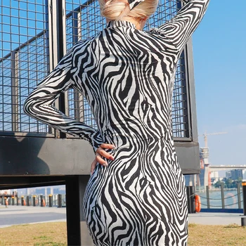 Moterų Zebra Print Suknelė Apvalios Kaklo Suknelė ilgomis Rankovėmis Kietas Puoštas Šalis Mini Suknelė Mados Streetwear Apranga HX1108