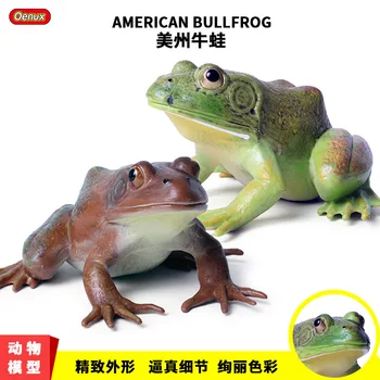 Oenux 11x13.5x7cm Amerikos Bullfrog Modeliavimas Laukinių Gyvūnų Didelis Varlė Veiksmų Skaičiai Modelio Statulėlės PVC Surinkimo Žaislai Vaikams Dovanų