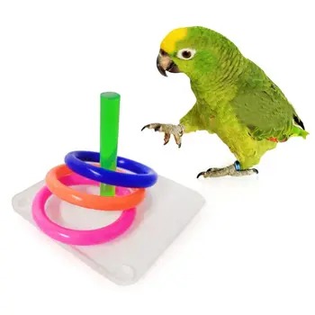 Paukščių Švietimo Dėlionės, Žaislų, Akrilo Interaktyvus Žiedas Toss Žaidimas Papūga Mokymo
