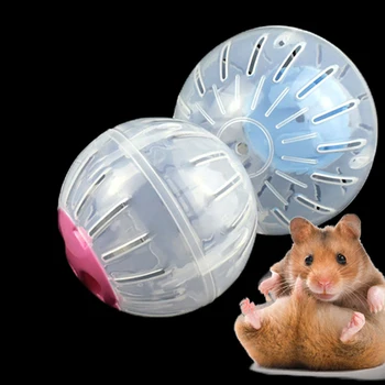 Pet Žiurkėnas Veikia Kamuolys Mažų Žiurkėno Bėgimo Pratybų Žaisliniai Naminiai Gyvūnai Graužikų Pelių Plastiko Kvėpuojantis Aišku, Kamuolys Be Atramos