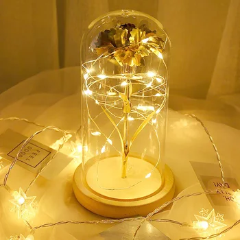 Romantiška 20 LED Žibintai, Imituojant Dirbtinis Gvazdikų Žiedų Naktį, Šviesos, Stiklo lempų gaubtų Namų Dekoro