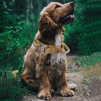 Šunų Antkaklis Reguliuojamas Karinis Taktinis Augintiniai, Šunų Antkakliai Pavadėlio Valdymo Rankena Mokymo Naminių Kačių Šunų Antkaklis Mažiems Didelių Šunų